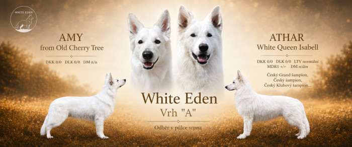 From White Eden