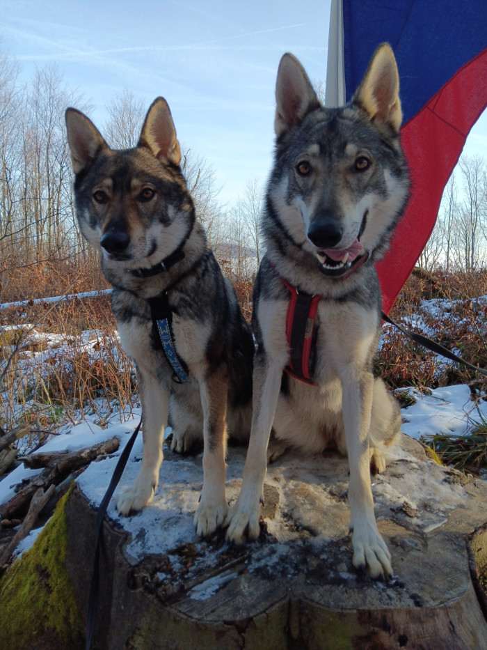 Brixie a Astrid