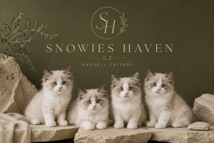 Snowie’s Haven