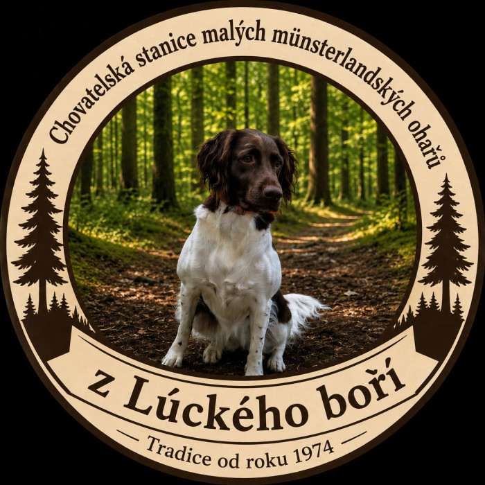Z Lúckého boří