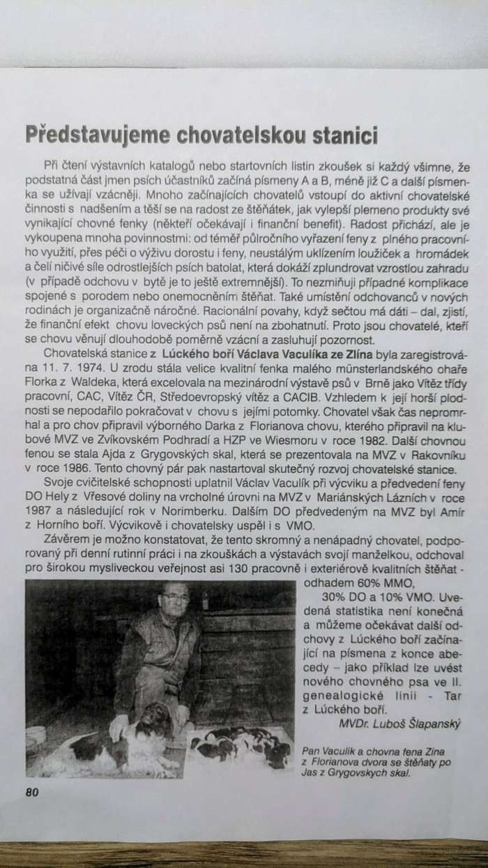 Z Lúckého boří