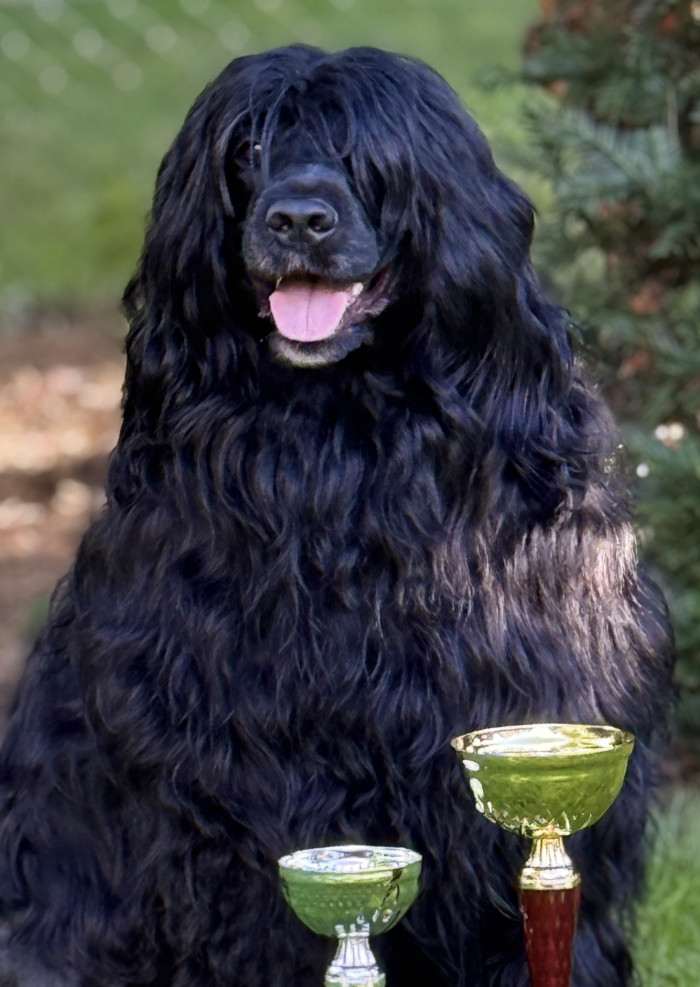 Izodóra Flóra Ortipo Black — Izi