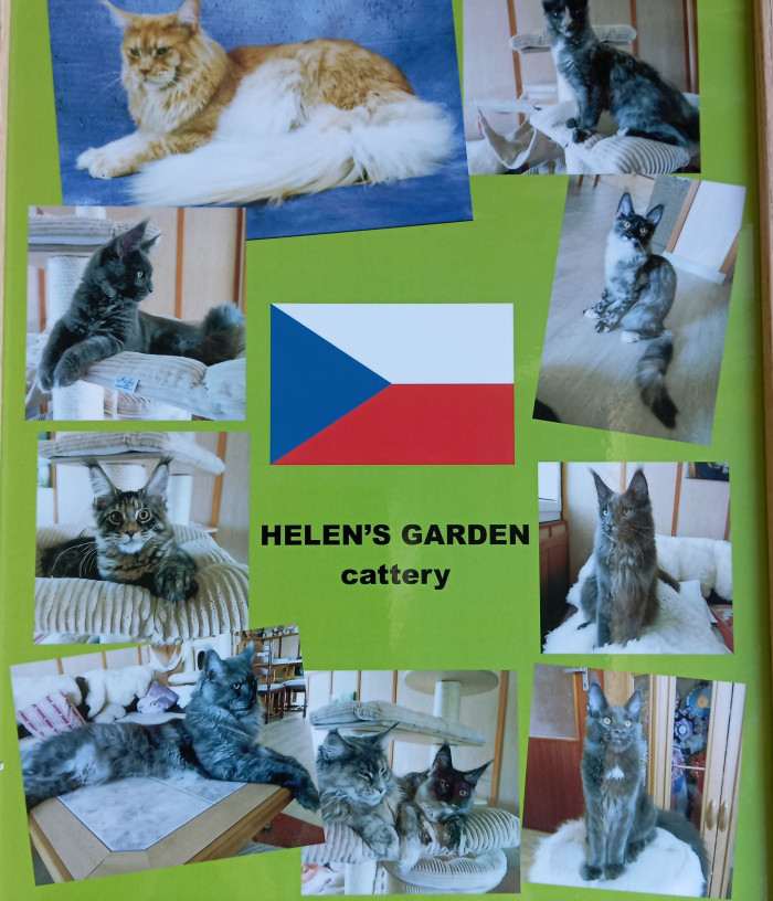 Helen's garden,cz