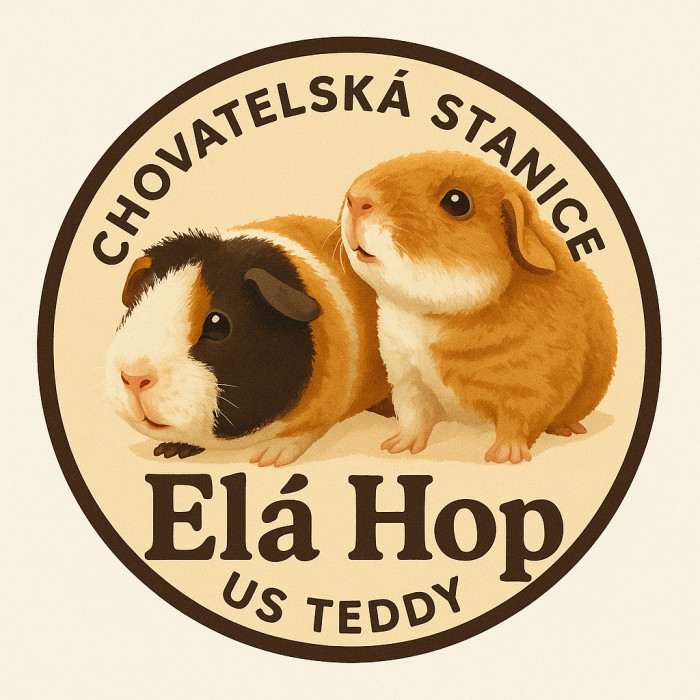 Elá Hop - morčata