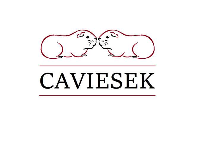 Chs Caviesek