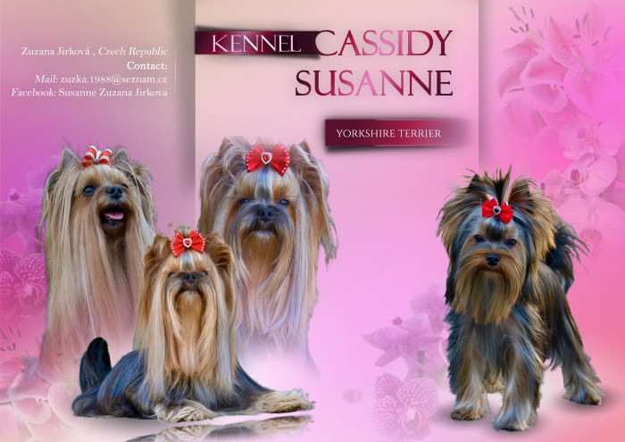 Cassidy Susanne