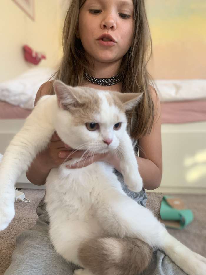 Feldsberg.cz