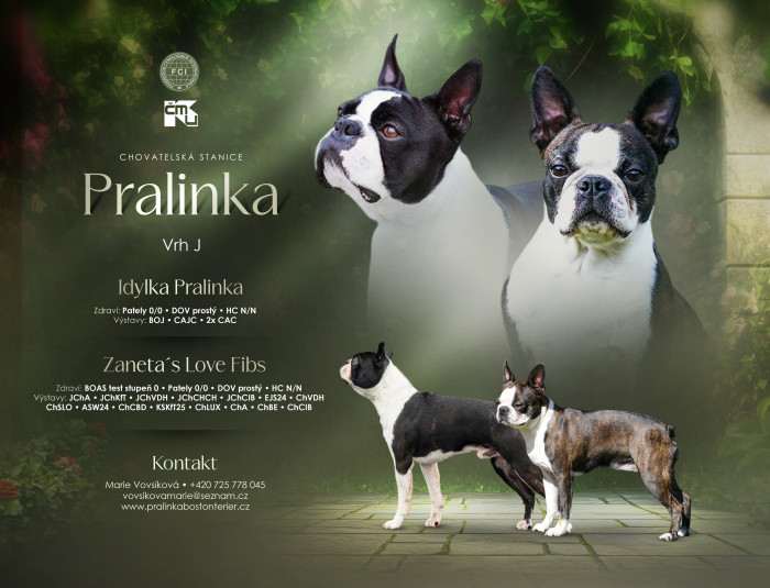 Pralinka