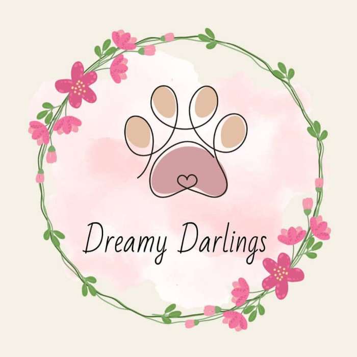 Dreamy Darlings