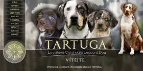 Tartuga