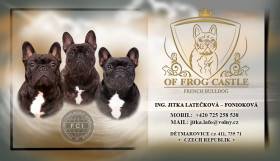Of Frog Castle