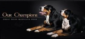 Our champions