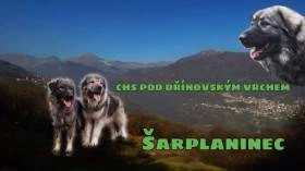 Pod Dřínovským vrchem