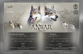 Anwar