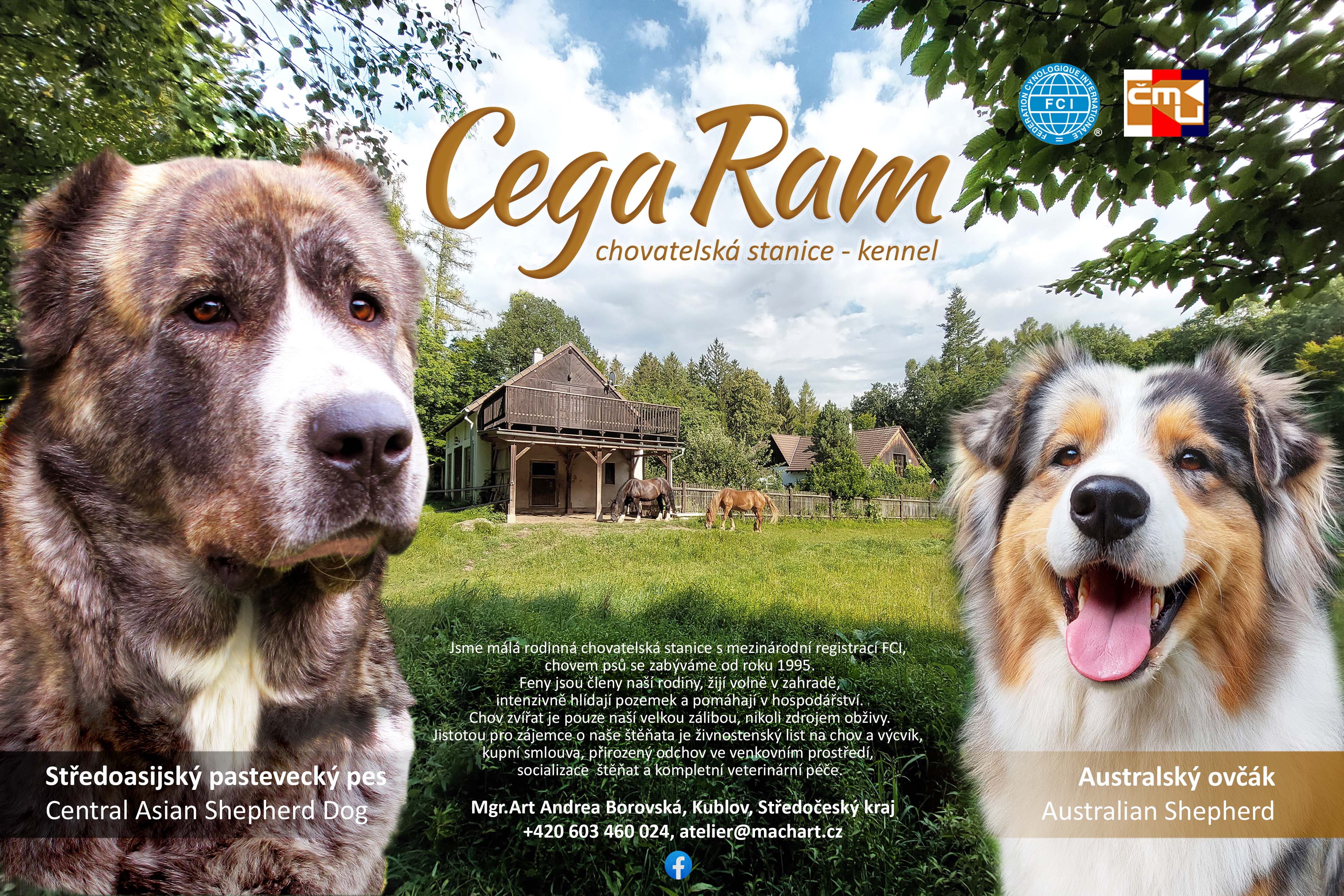 Cega ram