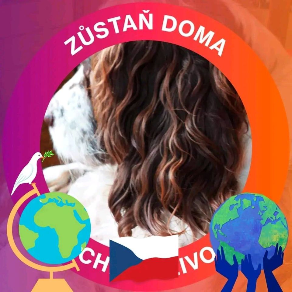 Vlastimil  Sus