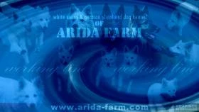 Arida Farm (of) FCI