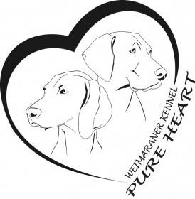 Pure Heart