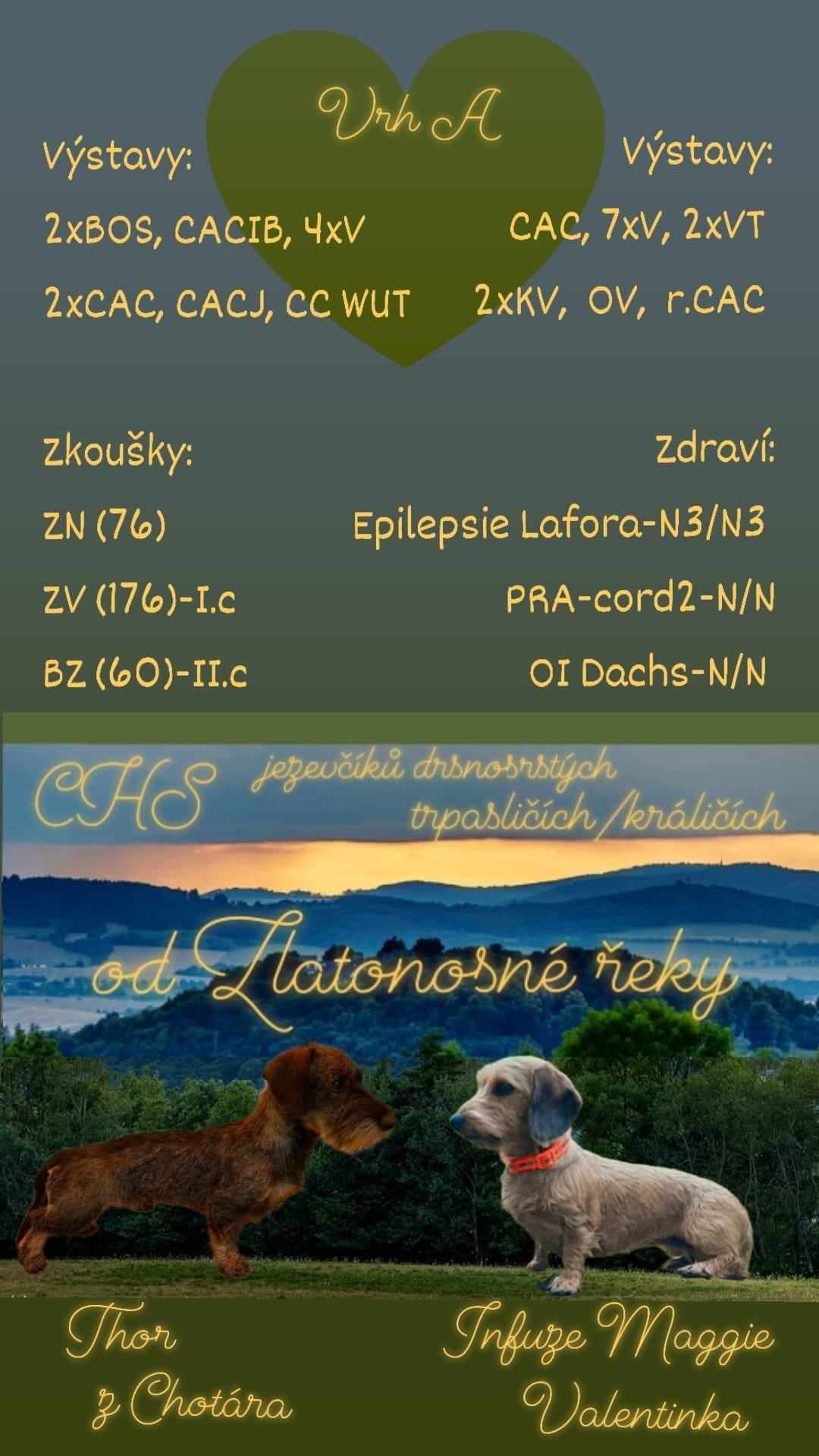 CHS od Zlatonosné řeky