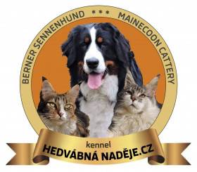 Hedvábná naděje.cz