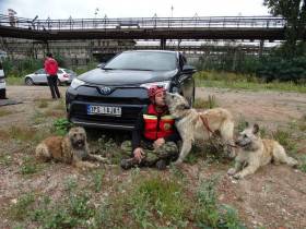 Ritter von Falkenberg