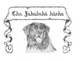 Jakubská hůrka