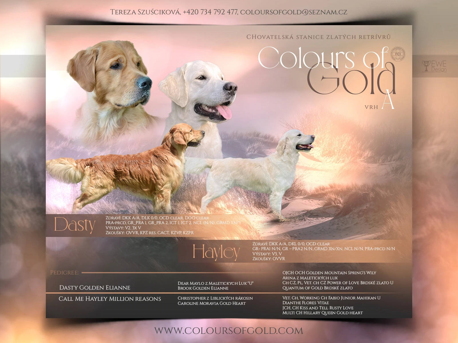 CHS Colours of Gold