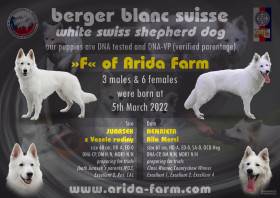Arida Farm (of) FCI