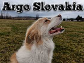 Argo Slovakia
