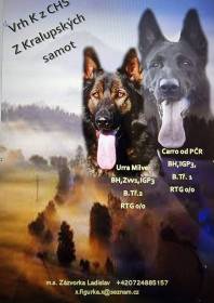 Z Kralupských samot