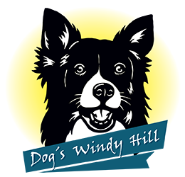 Dog’s Windy Hill