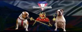 Diamond from Bohemia