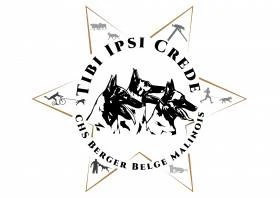 Tibi Ipsi Crede