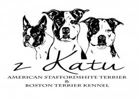 Z katu
