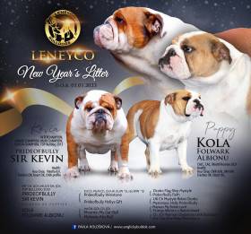 Leneyco