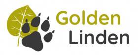 Golden Linden