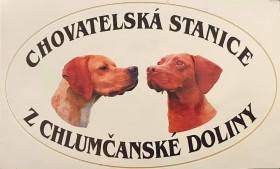 Z Chlumčanské doliny
