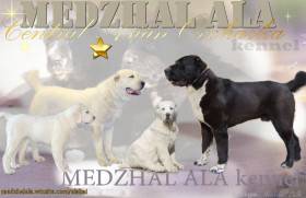 Medzhal Ala