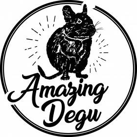 Amazing Degu