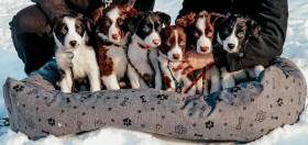 vrh A Pierce a Peggy