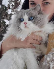 FelinoTherapy Jičín