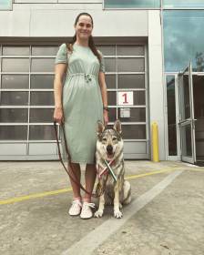Nymeria wolfdog