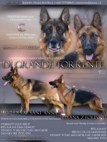 Di grande torrente