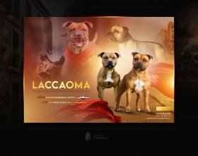 Laccaoma