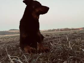 Z Koterovského údolí