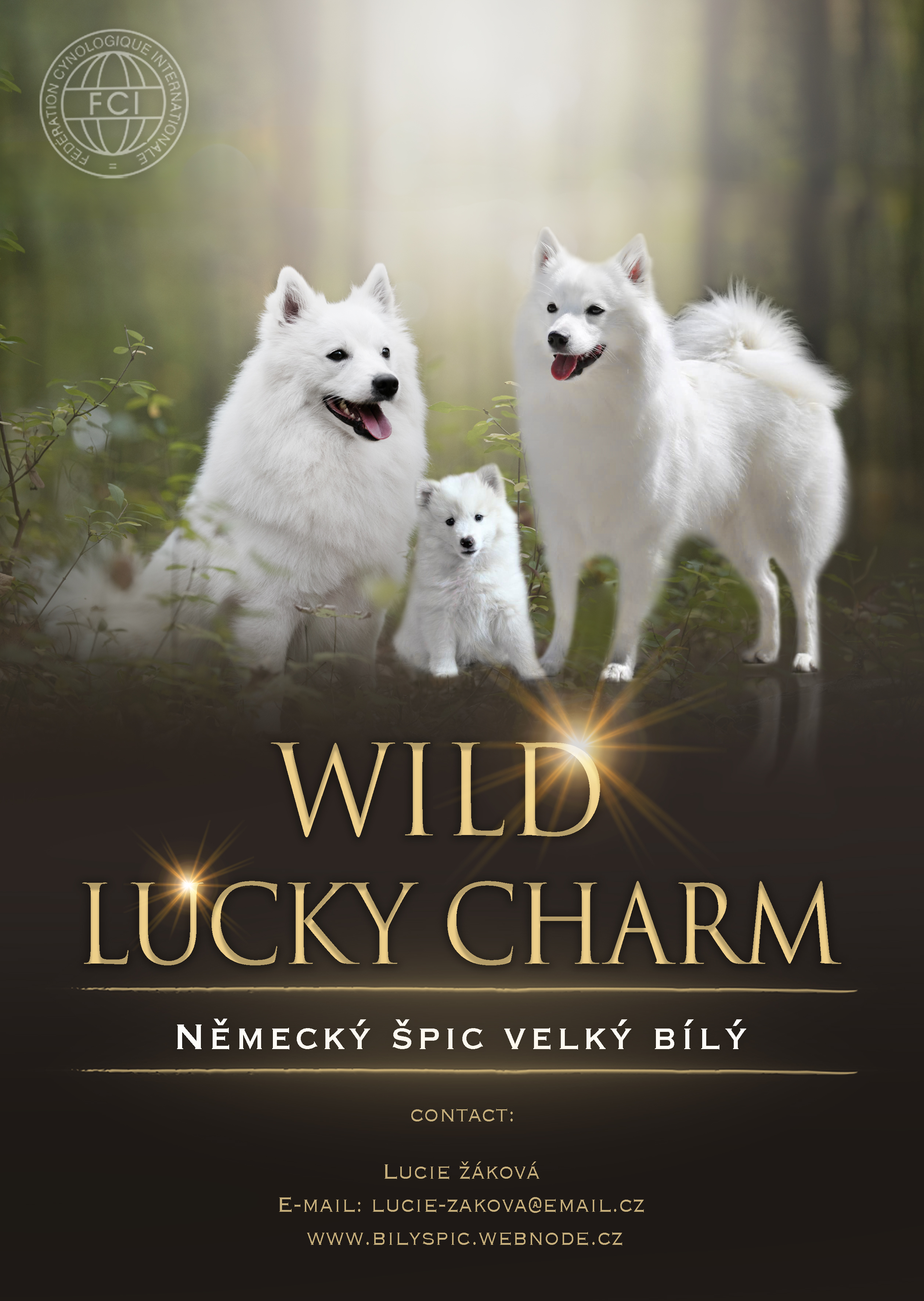Wild Lucky Charm
