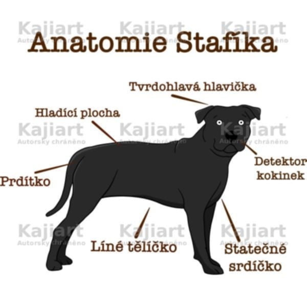 Z Moravského statku