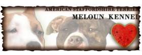 Meloun