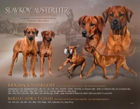 Slavkov Austerlitz