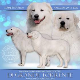 Di grande torrente